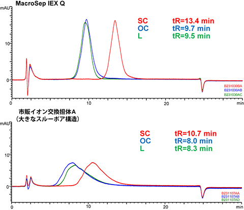质粒 DNA 异构体分离
